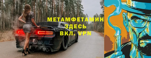 прущие грибы Верхний Тагил