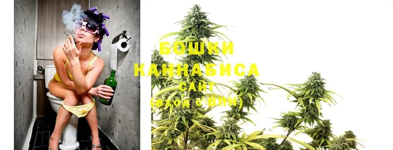 Шишки марихуана Ganja  Новоаннинский 